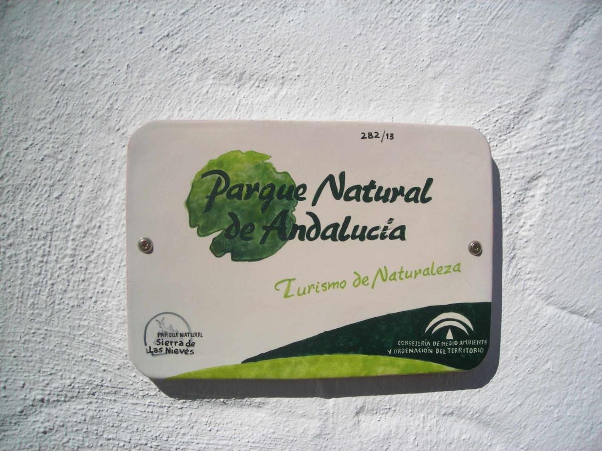 Viviendas Turisticas Los Arrayanes Ronda Exterior photo